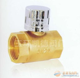 磁性管道鎖閉閥 品牌 磁性管道鎖閉閥 采購 圖片 批發(fā)
